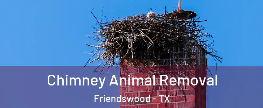Chimney Animal Removal Friendswood - TX