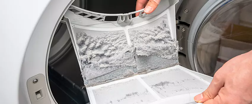 Best Dryer Lint Removal Company in Friendswood, Texas