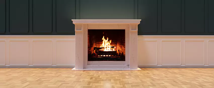 Napoleon Electric Fireplaces Inspection Service in Friendswood, Texas