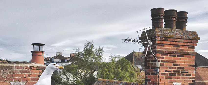 Chimney Cleaning And Restoration in Friendswood, Texas