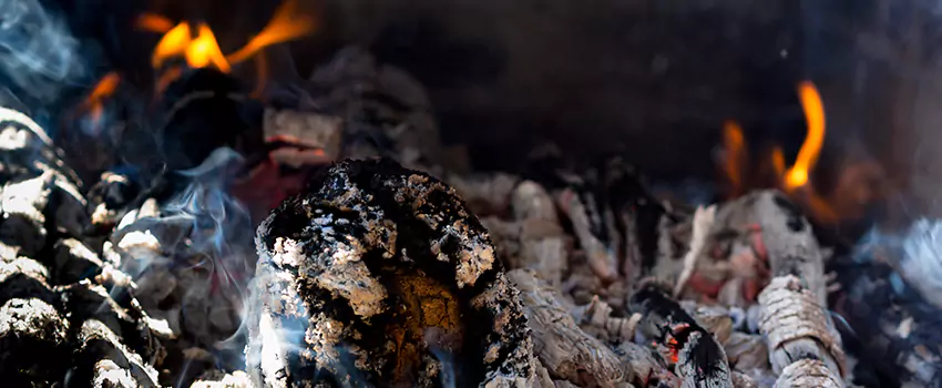 Creosote Removal Experts in Friendswood, TX