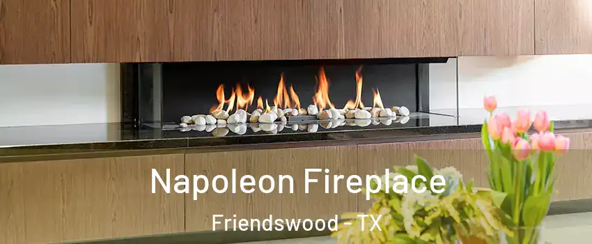  Napoleon Fireplace Friendswood - TX